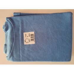 CAMISETA DE INVIERNO MANGA LARGA ARTIC 1131 ASSMAN AZUL AZAFATA