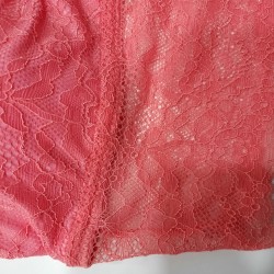 Top Abelia Top Abelia